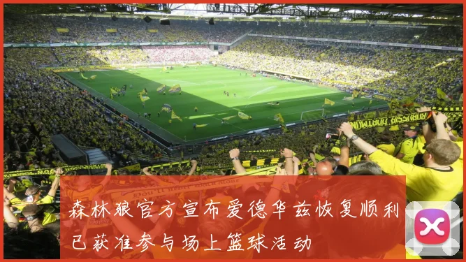 森林狼官方宣布爱德华兹恢复顺利已获准参与场上篮球活动