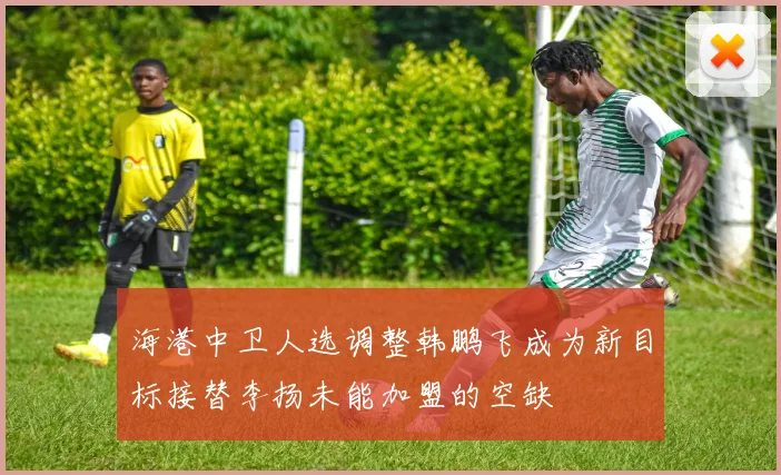 海港中卫人选调整韩鹏飞成为新目标接替李扬未能加盟的空缺