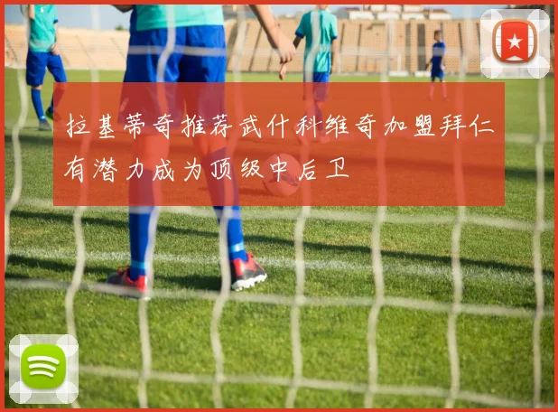 拉基蒂奇推荐武什科维奇加盟拜仁有潜力成为顶级中后卫