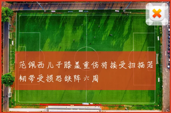 范佩西儿子膝盖重伤将接受扫描若韧带受损恐缺阵六周